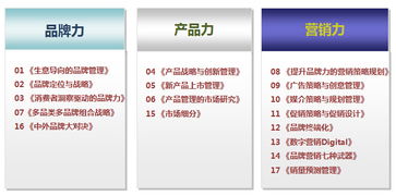 品牌管理的核心與實(shí)踐 賦能企業(yè)市場(chǎng)部的內(nèi)訓(xùn)指南